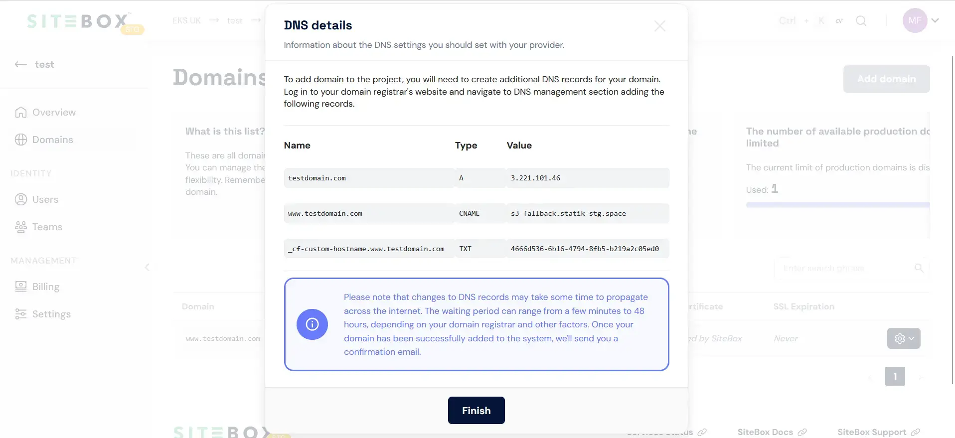 Domain DNS details
